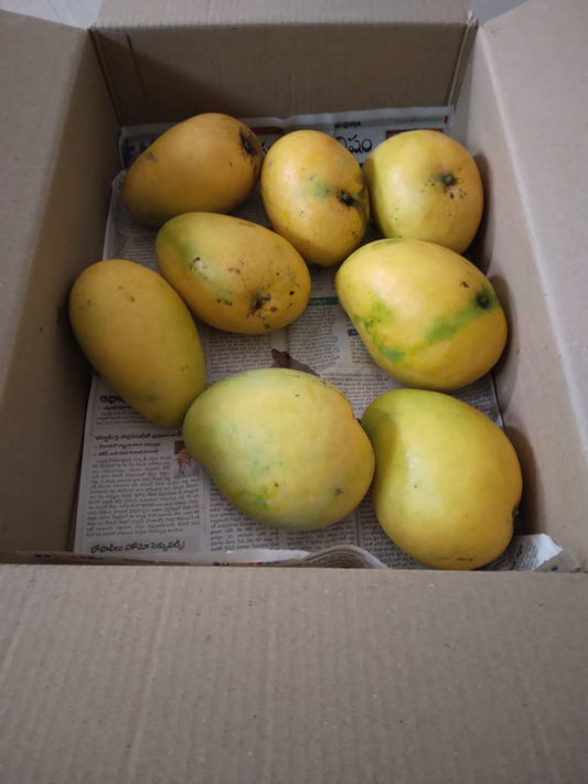 Organic Kollapur Mangoes(10Kg) Box